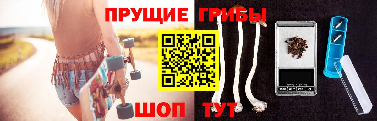 Галлюциногенные грибы MAGIC MUSHROOMS  Галлюциногенные грибы Psilocybine cubensis  Вход с VPN  Кизляр 